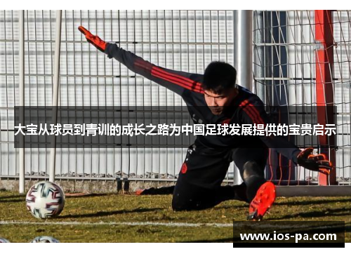 大宝从球员到青训的成长之路为中国足球发展提供的宝贵启示