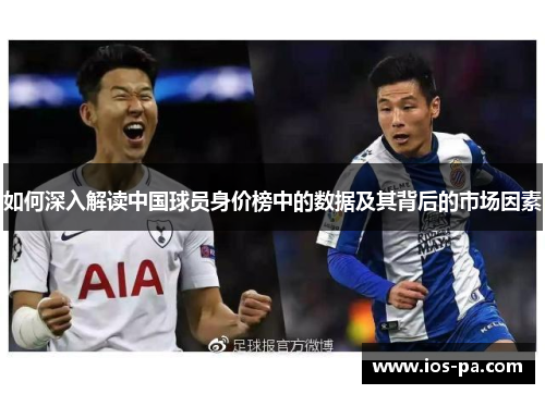 如何深入解读中国球员身价榜中的数据及其背后的市场因素