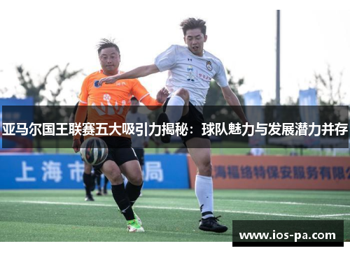 亚马尔国王联赛五大吸引力揭秘：球队魅力与发展潜力并存