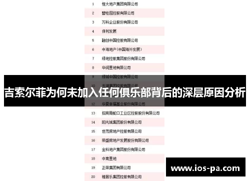 吉索尔菲为何未加入任何俱乐部背后的深层原因分析