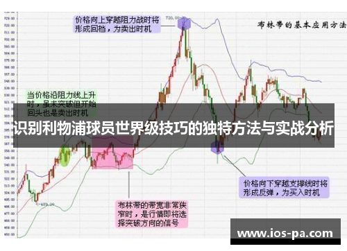 识别利物浦球员世界级技巧的独特方法与实战分析
