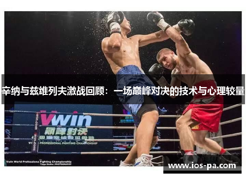 辛纳与兹维列夫激战回顾：一场巅峰对决的技术与心理较量