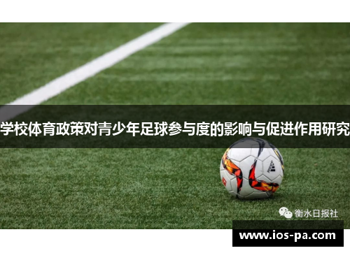 学校体育政策对青少年足球参与度的影响与促进作用研究