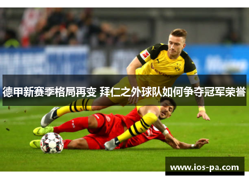 德甲新赛季格局再变 拜仁之外球队如何争夺冠军荣誉
