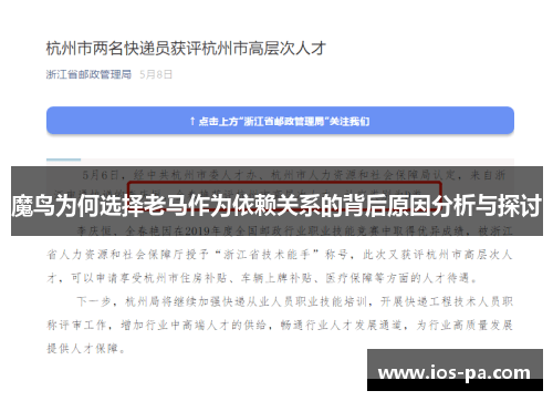 魔鸟为何选择老马作为依赖关系的背后原因分析与探讨