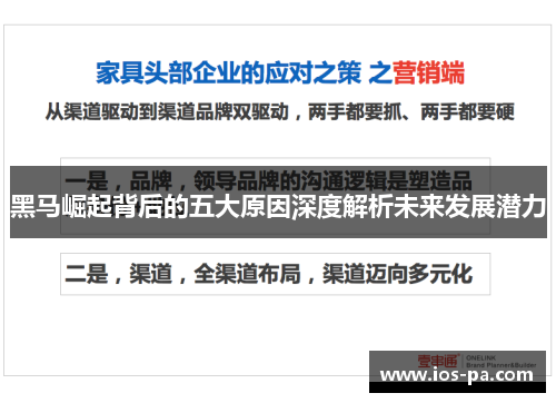 黑马崛起背后的五大原因深度解析未来发展潜力