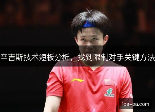 辛吉斯技术短板分析，找到限制对手关键方法